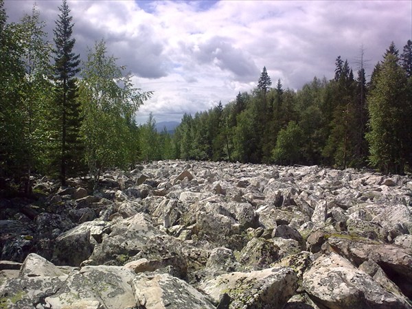 Курумы или каменные реки
